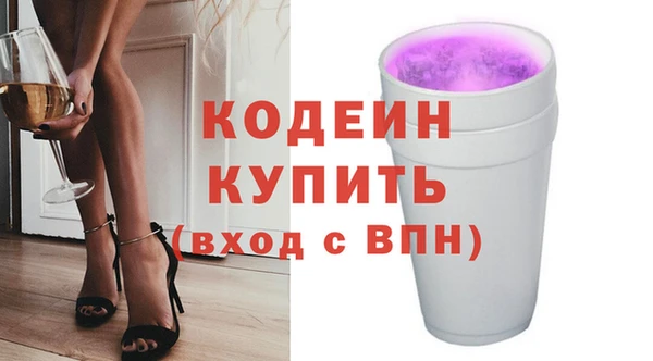 крисы Ивангород