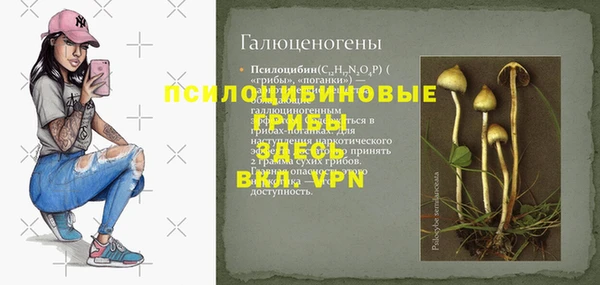 ГАЛЛЮЦИНОГЕННЫЕ ГРИБЫ Алзамай