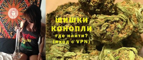 ГАЛЛЮЦИНОГЕННЫЕ ГРИБЫ Алзамай